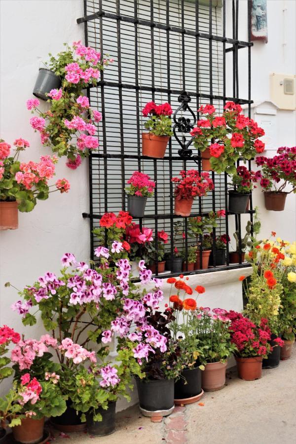 Hostal Moncada Gaucín Екстериор снимка