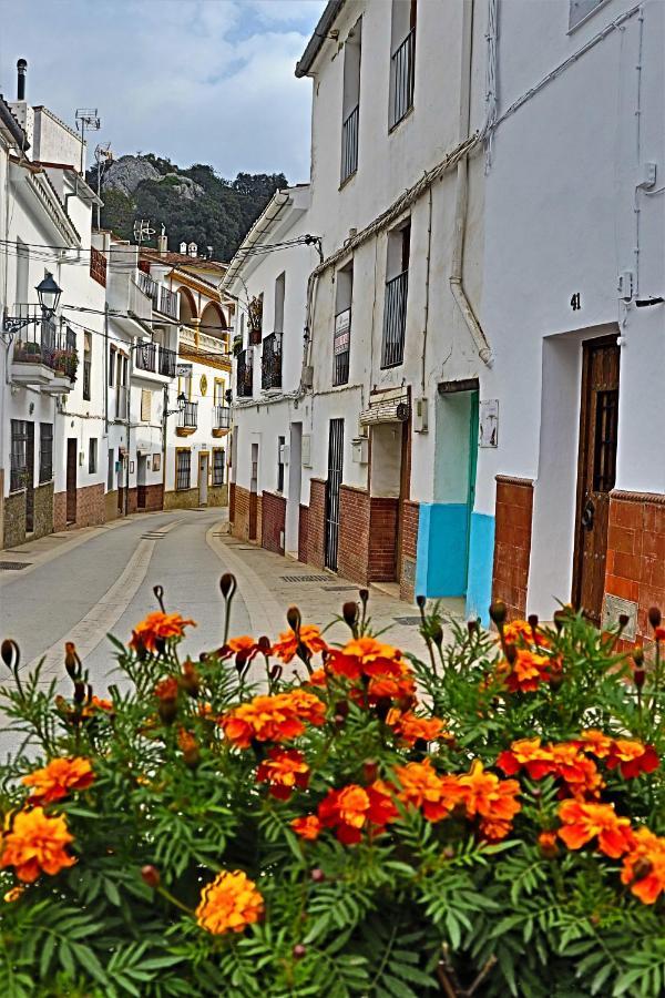 Hostal Moncada Gaucín Екстериор снимка