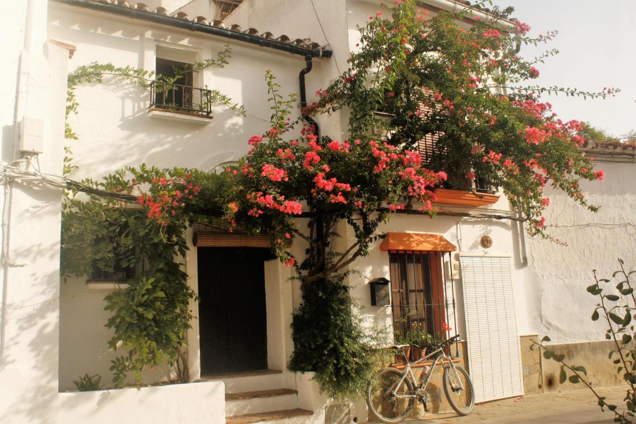 Hostal Moncada Gaucín Екстериор снимка