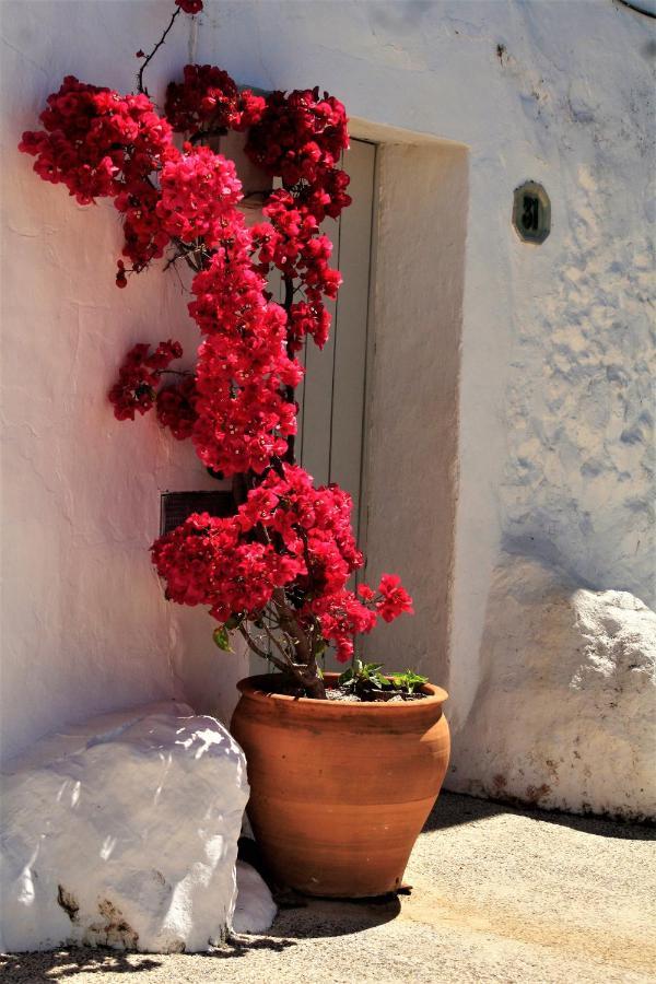 Hostal Moncada Gaucín Екстериор снимка