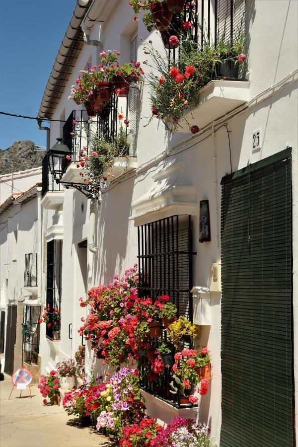 Hostal Moncada Gaucín Екстериор снимка